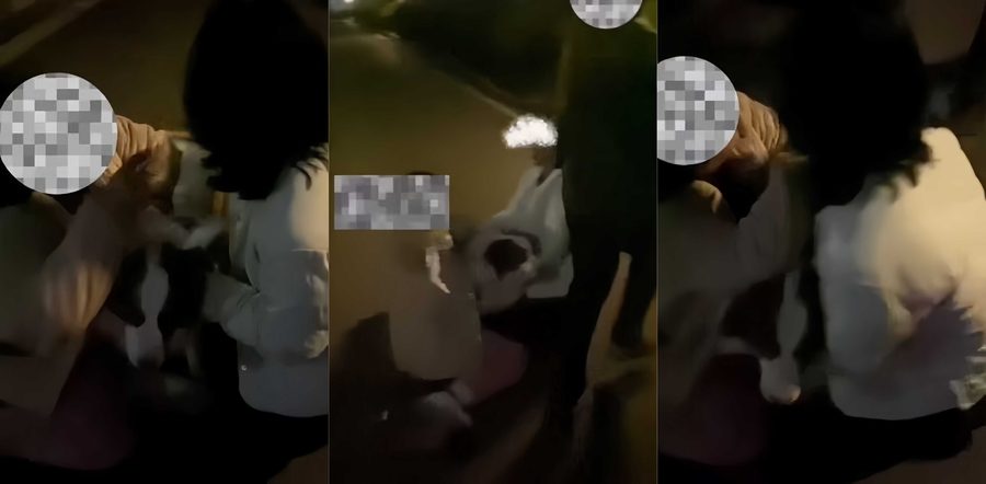 成都铁路局支部书记王彬遛狗打人事件！未牵绳遛狗发生冲突重拳殴打女生 围堵警局恐吓女生太嚣张了！