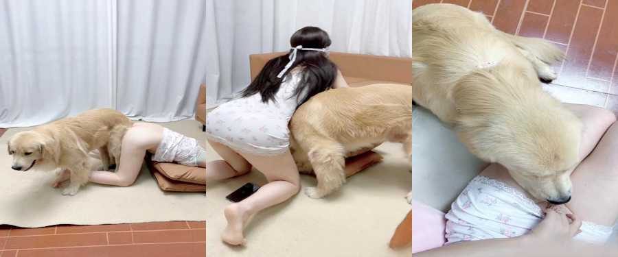 抖音网红 香香公主 人兽视频流出 金毛犬猛插蝴蝶小穴 睡衣小裙跪地被舔穴后入 超清捕捉射精瞬间