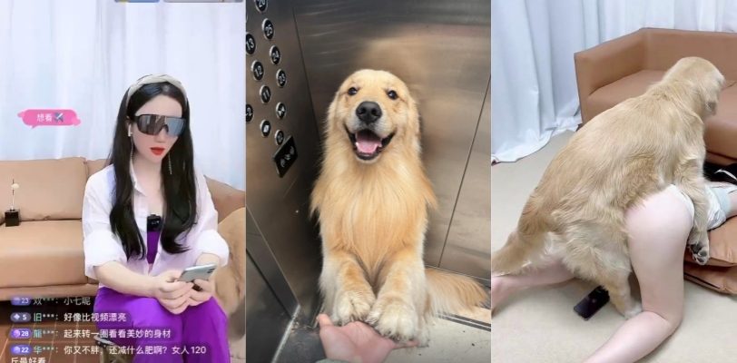 汪汪队犯大罪！抖音博主香香公主和爱犬人犬情未了，人畜杂交淫荡一面全露，邻家女孩被狗无套内射变身低贱性奴！