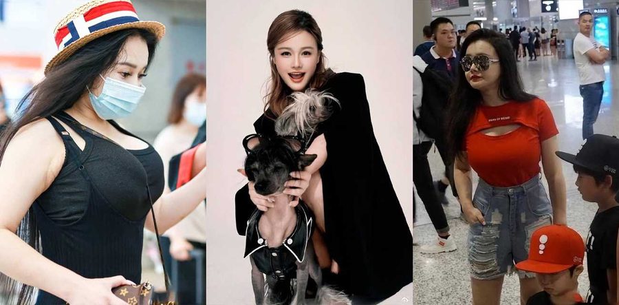 拳王邹市明退役躺平 本可吃利息过好日子 老婆逼创业亏2亿反诉丧偶式婚姻