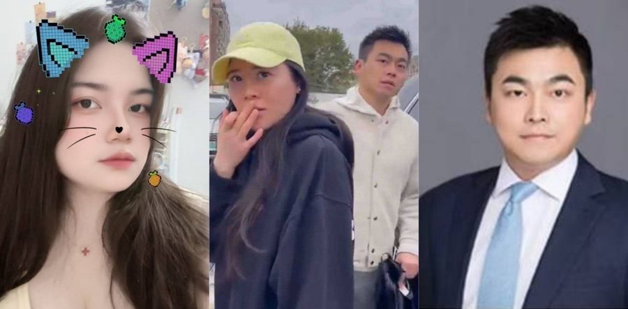 上海君合律师 许晟骜 陪空姐小三 王文洁 产检被妻子陈女士抓现行 对峙视频和不雅视频遭热传