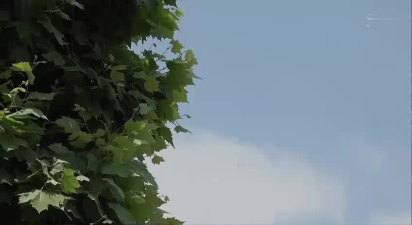 中文字幕三上悠亚番号SSIS-541 身为护士的我在急诊室偶遇前男友 以各种理由被多次爆操直到被肉棒征服