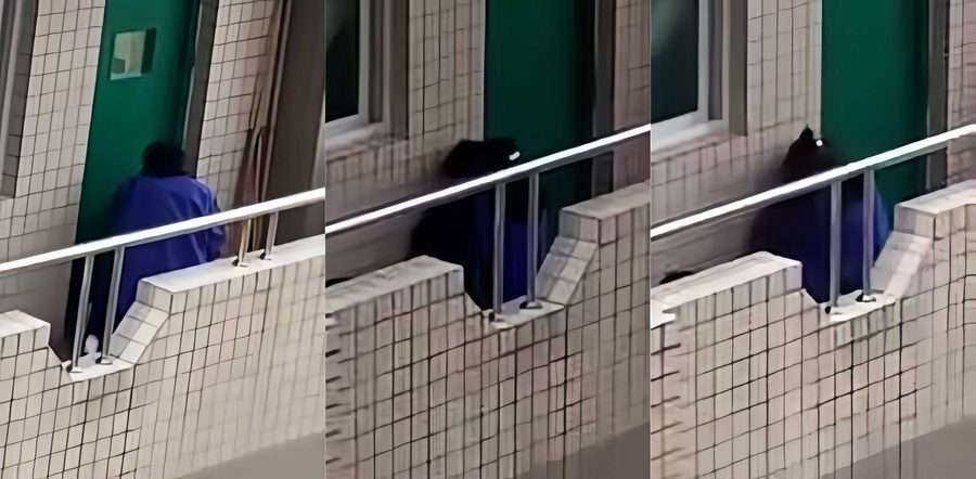 职高情侣宿舍阳台口交女上位做爱！衣服没脱低调啪啪啪 但被对面楼上学生拍下 偷拍视频曝光全网疯传